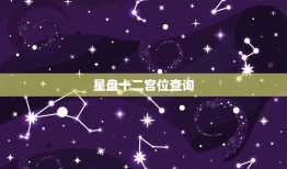 星盘十二宫位查询，如何看十二宫位