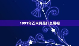 1991年乙未月是什么属相，1991年是什么属相