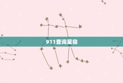 911查询星宿，本命星宿查询