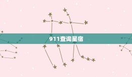 911查询星宿，本命星宿查询