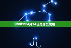 2001年4月24日是什么属相，2001年农历4月24日申时出生的五行