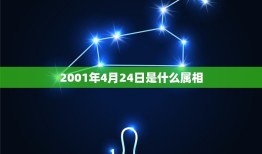 2001年4月24日是什么属相，2001年农历4月24日申时出生的五行