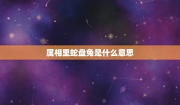 属相里蛇盘兔是什么意思，蛇盘兔越过越富的！是真的吗？