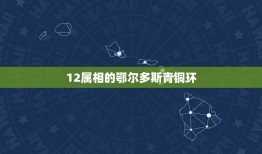 12属相的鄂尔多斯青铜环，鄂尔多斯的环境怎么样？