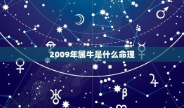 2009年属牛是什么命理，2009属牛的是什么命？