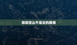 除却巫山不是云的属相，除却巫山不是云:十二生肖中指的是那个？