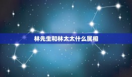 林先生和林太太什么属相，什么事是林先生和林太太每天睡觉之前要做的事，脑