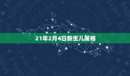 21年2月4日新生儿属相，我是阳历1988年2月4日出生，属相是什么？