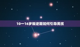 10一16岁叛逆期如何引导男孩，叛逆期的男孩子怎么去引导？