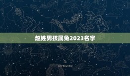 赵姓男孩属兔2023名字(如何取一个与生肖相配的好名字)