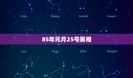 85年元月25号属相，2023 年1 月2 日对冲肖是什么？