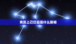 黄历上己巳日是什么属相，老黄历今天是属什么？