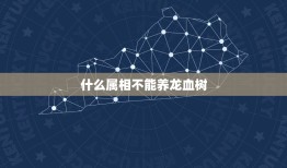 什么属相不能养龙血树，农村里的“镇宅树”，都有什么讲究？