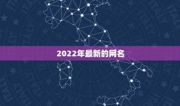 2022年最新的网名，2021年流行的网名