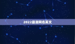 2022最潮网名英文，2023最新英文网名