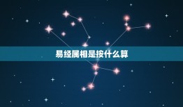 易经属相是按什么算，怎么算易经