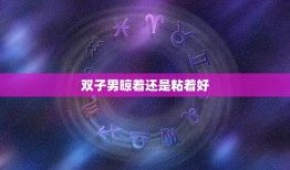 双子男晾着还是粘着好(如何把握双子男的心思)