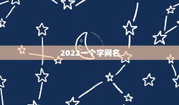 2022一个字网名，网名2021最新版的女生