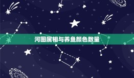 河图属相与养鱼颜色数量，请教：因属相与养鱼的数量有关。那么清道夫鱼也算