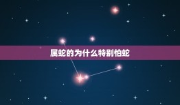 属蛇的为什么特别怕蛇，为什么属蛇的还怕蛇