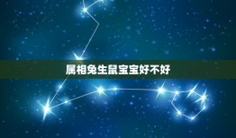 属相兔生鼠宝宝好不好，男鼠女兔生什么属相的宝宝最好？龙宝宝好吗