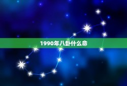 1990年八卦什么命，我的生日是1990年1月7日 请求查一下我的五行