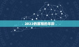 2022的属相的年龄，2022年十二生肖岁数表