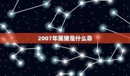 2007年属猪是什么命，2007年属猪什么命