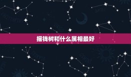 摇钱树和什么属相最好，摇钱树指什么动物