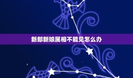 新郎新娘属相不能见怎么办，新郎新娘结婚那天属相相冲怎么办？