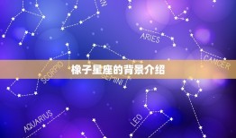 橡子星座怎么入驻占星师(成为占星界的新星)