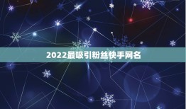 2022最吸引粉丝快手网名，2023快手最火网名