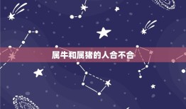 属牛和属猪的人合不合(星座配对大介绍)