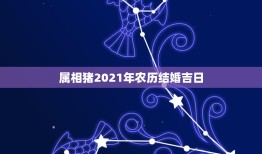 属相猪2021年农历结婚吉日，儿子属鼠，女朋友属猪，2021年十月份想