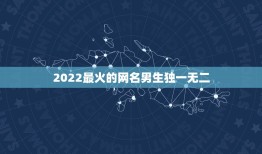 2022最火的网名男生独一无二，2022年更流行的网名