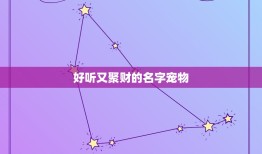 好听又聚财的名字宠物，给爱狗取个名字，带财运的