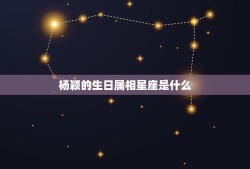 杨颖的生日属相星座是什么，Anglebaby 的星座是什么？出生年月呢