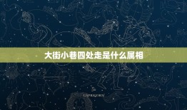 大街小巷四处走是什么属相，大街小巷四处走、猜一生肖