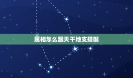 属相怎么跟天干地支搭配，生肖配对是怎么配的？