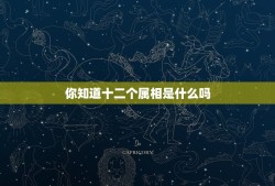 你知道十二个属相是什么吗，你知道十二个属相是什么吗？在下面的括号里各填