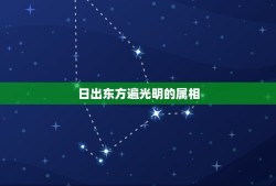 日出东方遍光明的属相，日出东方照八方，夕阳三九寒鸦外是指十二生肖中的哪