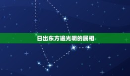 日出东方遍光明的属相，日出东方照八方，夕阳三九寒鸦外是指十二生肖中的哪