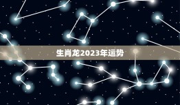 生肖龙2023年运势，生肖龙2023年运势大全详解