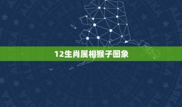 12生肖属相猴子图象，十二生肖，猴子为什么排第九位