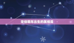 宋佳哪年出生的属相是，一年级宋佳基本资料