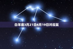 12星座对应12生肖(星座与生肖的奇妙对应你知道几个)