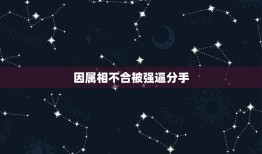 因属相不合被强逼分手，有多少因为生肖配对不合被逼分手的