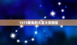 1975属兔的大富大贵微信，1975年属兔人的幸运颜色