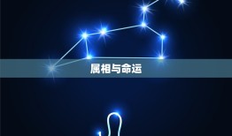 2023年是属什么命(探寻属相对命的秘密)