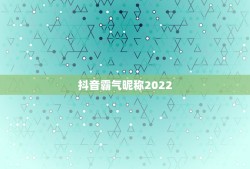 抖音霸气昵称2022，抖音霸气昵称2023两个字